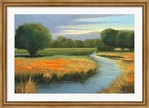 Framed California Orange Print