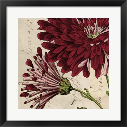 Framed Joyful Bloom II Print