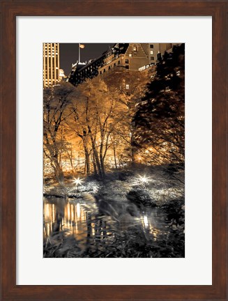 Framed Central Park Glow III Print