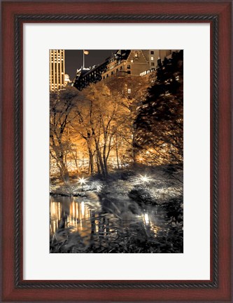 Framed Central Park Glow III Print