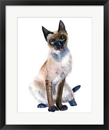 Framed Cat II Print