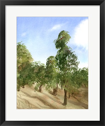 Framed Apple Trees Print