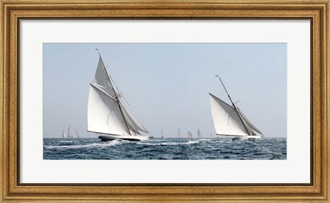 Framed Sailing South A Print
