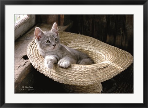 Framed Hat Kitten Print