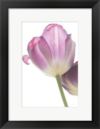 Framed Tulip Time IV Print