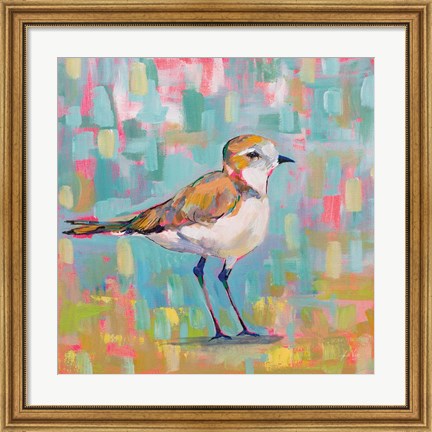 Framed Coastal Plover III Print