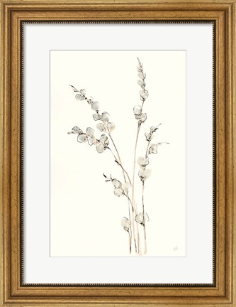 Framed Pussy Willows IV Print
