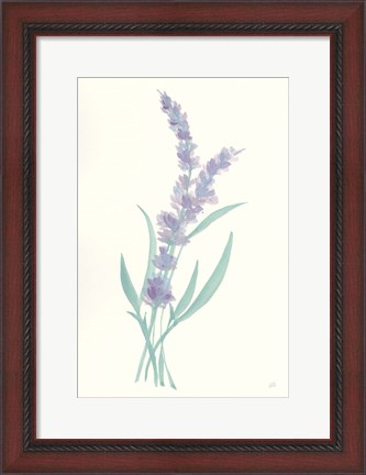 Framed Lavender II Print
