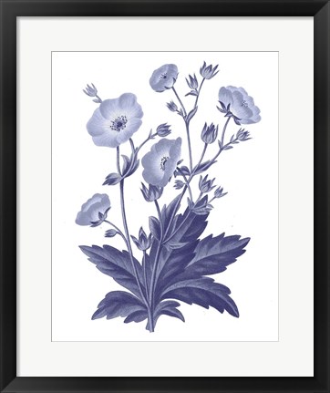 Framed Dark Blue Botanical VI Print
