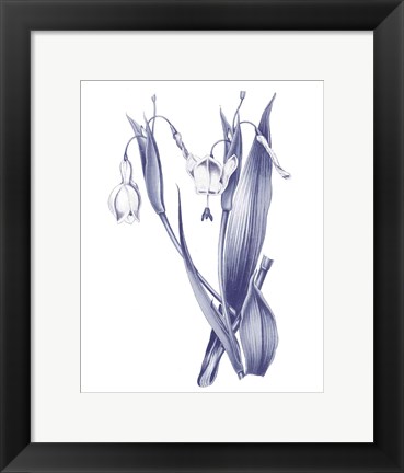 Framed Dark Blue Botanical II Print