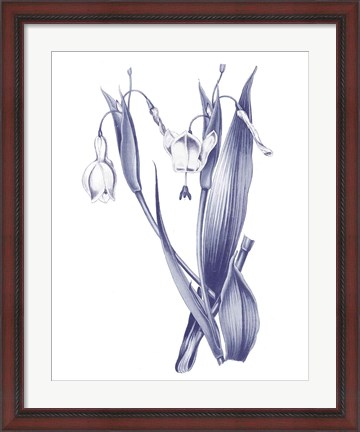 Framed Dark Blue Botanical II Print