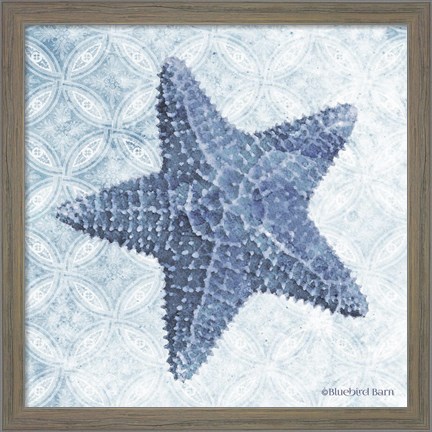 Framed Starfish I Print