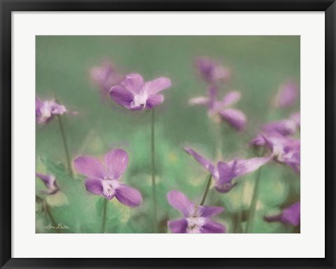 Framed Wild Violets Print