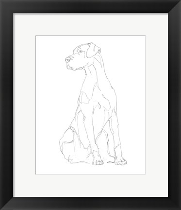 Framed Dog Contour II Print