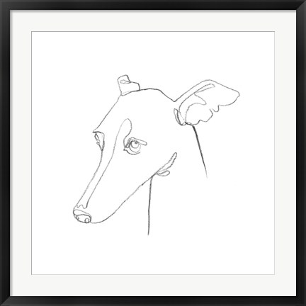 Framed Greyhound Pencil Portrait I Print