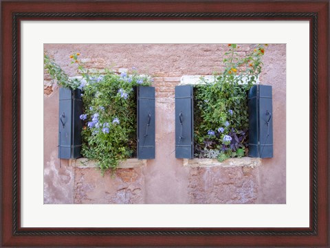 Framed Italian Window Flowers II Print
