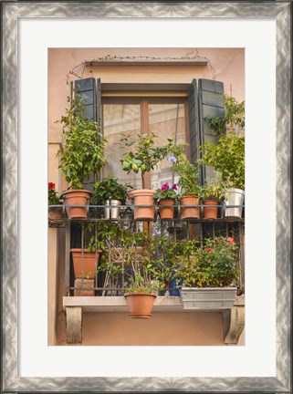 Framed Italian Window Flowers III Print