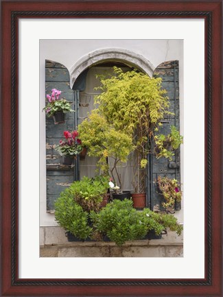 Framed Italian Window Flowers IV Print