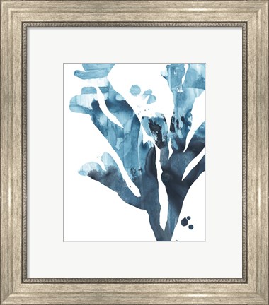 Framed Inkwash Kelp II Print
