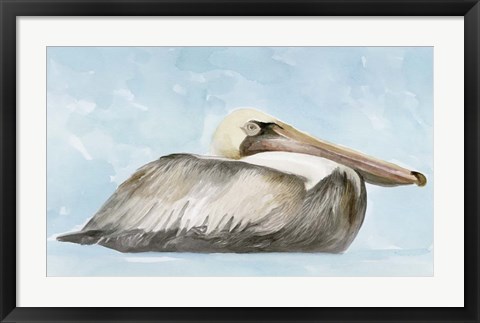 Framed Soft Brown Pelican I Print