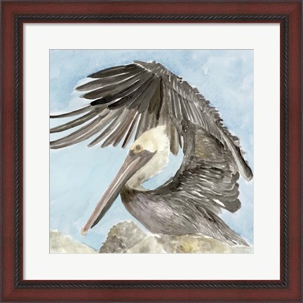 Framed Soft Brown Pelican II Print