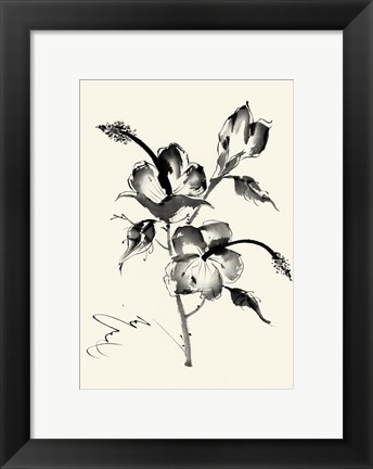 Framed Ink Wash Floral III - Hibiscus Print