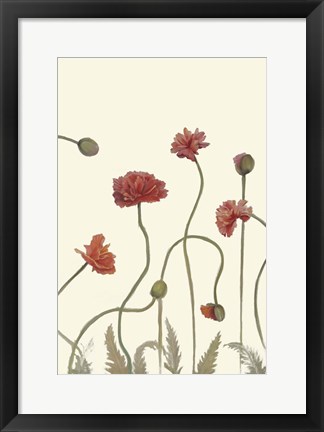 Framed Coral Poppy Display III Print