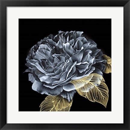 Framed River Roses I Print