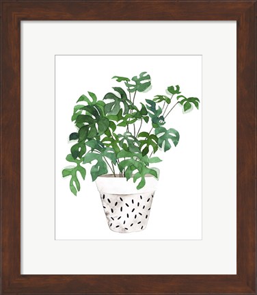 Framed Plant in a Pot IV Print