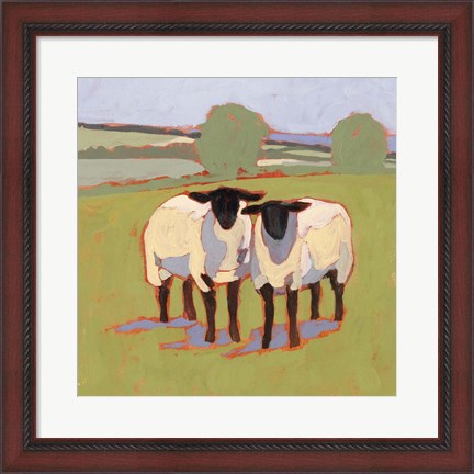 Framed Suffolk Sheep III Print