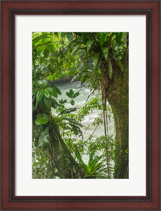 Framed Costa Rica, Sarapiqui River Valley, Rio Puerto Viejo River In Rainforest Print