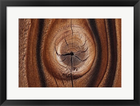 Framed Old Wood Design, California Print