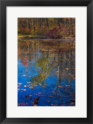 Framed Fall Foliage Reflection In Lake Water Print