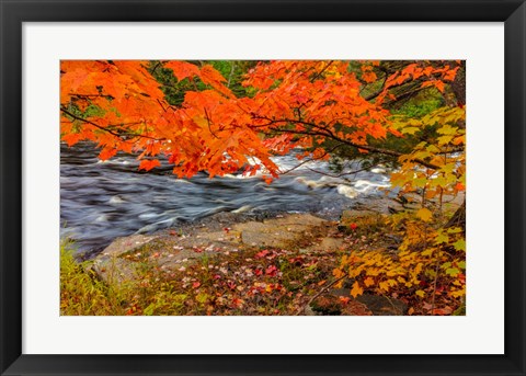 Framed Sturgeon River In Autumn Near Alberta, Michigan Print