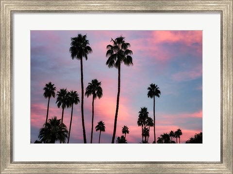 Framed Palm Sunset Print