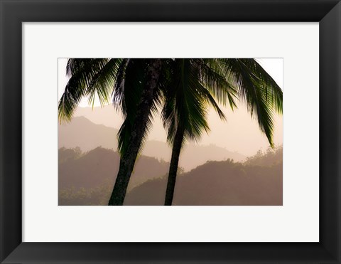 Framed Misty Palms Print