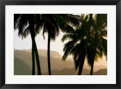 Framed Misty Palms II Print