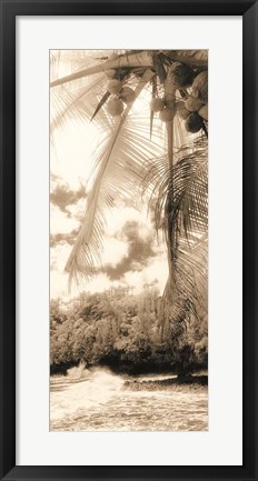 Framed Equatorial Breeze II Print