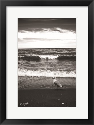 Framed Seagull II Print