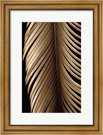 Framed Tropical Leaf Study II Print