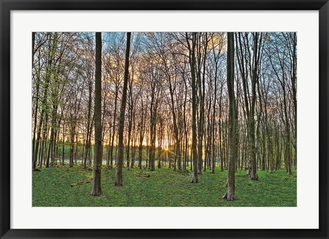Framed Secret Sunset Print