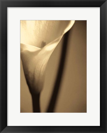 Framed Divinity I Print