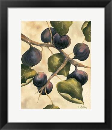 Framed Italian Harvest - Figs Print