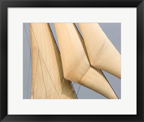 Framed Windward I Print