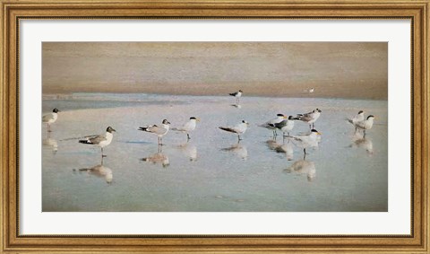 Framed Coastal Reflections Print