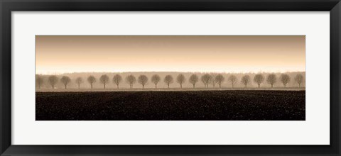 Framed Dappled Morning Fields Print