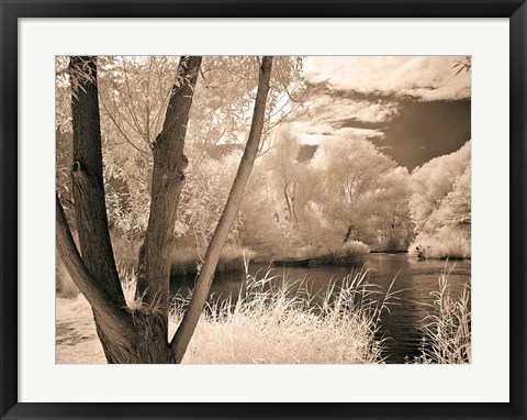 Framed Lakefront View I Print