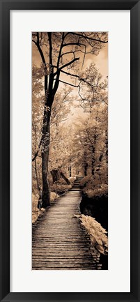 Framed Quiet Stroll I Print