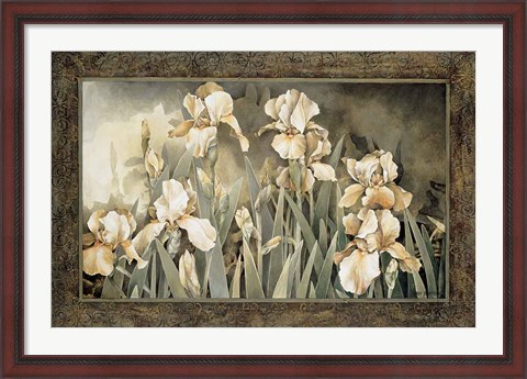 Framed Field of Irises Print