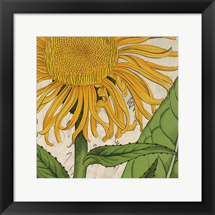 Framed Joyful Bloom I Print